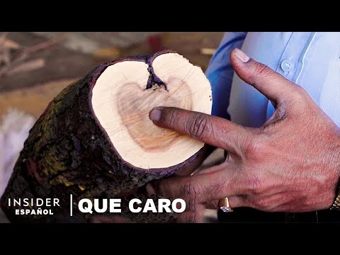 La madera más cara en España: descubre cuál es